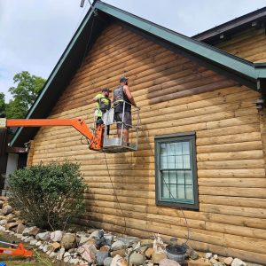 log home staining company seal a log home
