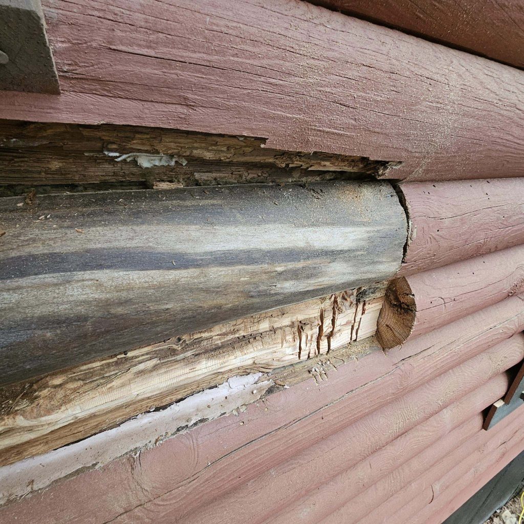 cabin log damage