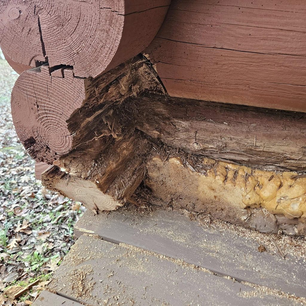 log rot