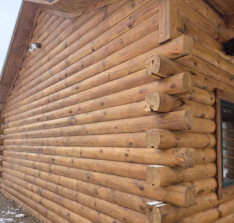 corner view of log cabin with hazelnut stain color
